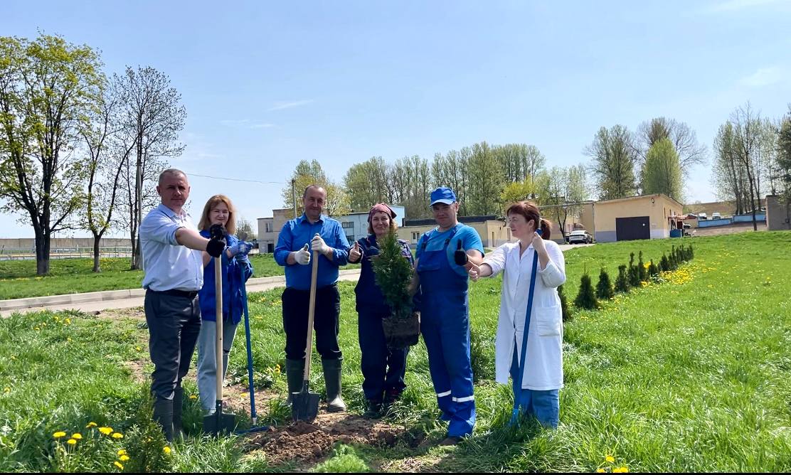 Озеленяемся!